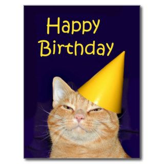 Happy cat Happy Birthday Postcards