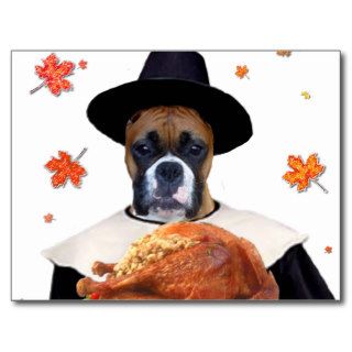 Thanksgiving Boxer dog Post Card