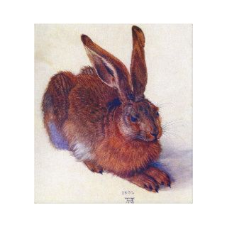 Young Hare by Albrecht Durer, Renaissance Art Gallery Wrapped Canvas