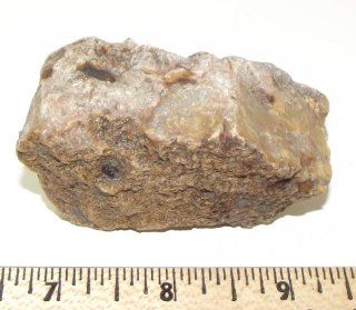 Bacon Agate Lapidary Rough From Crater Of Diamonds Arkansas  Other Products  