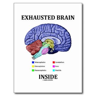 Exhausted Brain Inside (Anatomical Brain Humor) Postcards
