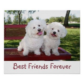 Cute Best Friends Forever Poster Print