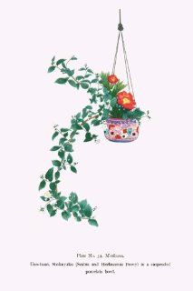 Buy Enlarge 0 587 26638 4C12X18 Uno Hana and Shakuyaku   Scabra and Herbaceous Peony in a suspended porcelain bowl  Canvas Size C12X18   Prints