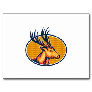Deer Stag Buck Head Retro Post Card