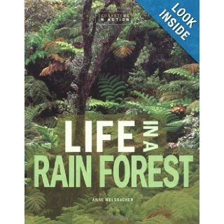 Life in a Rain Forest (Ecosystems in Action) Anne Welsbacher 9780822546856 Books