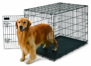 Petmate 21031 Pet Home Training Wire Kennel, Black, Medium  Pet Mate 