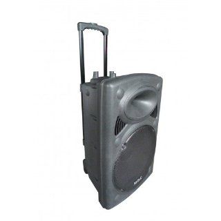 Portable Wireless Audio System Church Band School Sports Team 11838 Musical Instruments