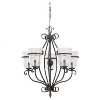 Sea Gull Lighting 3401 07 Five Light Manor House Chandelier, Weathered Iron Finish with Clear Seeded Glass Shades    