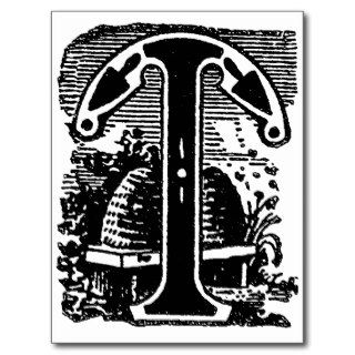 Antique Calligraphy Masonic Symbols Letter T Postcard