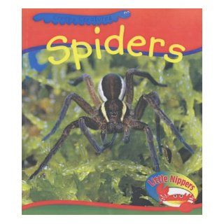 Spiders (Little Nippers Creepy Creatures) Monica Hughes 9780431163062 Books
