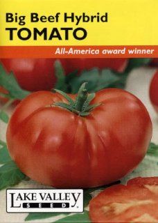 Lake Valley 624 Tomato Pole Big Beef Hybrid Seed Packet  Vegetable Plants  Patio, Lawn & Garden