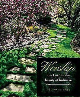 Garden Path Spring Bulletin 2012, Large Size (Package of 50) (9781426733178) Books