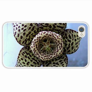 Custom Designer Iphone 4 4S Macro Flower Petals Stains Beautiful Of Fashion Gift White Case Cover For Lady Cell Phones & Accessories