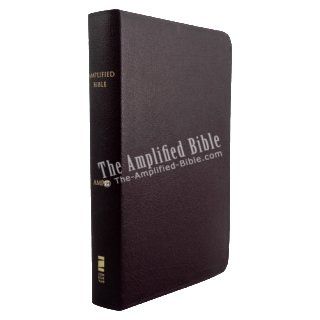 Amplified Bible, Indexed Zondervan 9780310951810 Books