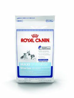 Royal Canin Maxi Starter Mother and Babydog, Dry Dog Food Formula, 26 Pound Bag  Dry Pet Food 