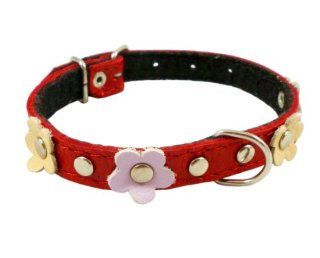Genuine Leather Designer Dog Collar, Daisy, Studs. 14.5"x5/8" Wide. Fits 10" 13.5" Neck, Chihuahua, Poodle, Puppies  Pet Collars 