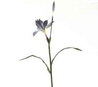 Distinctive Designs DW 651 GYBL DIY Flower Gray Blue Lily With Bud   Pack of 12  Mixed Flower Arrangements  Patio, Lawn & Garden