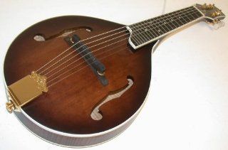 GOLD TONE GM 6+ Guitar Mandolin, 6 String, Gig Bag, with Pickup, Solid Spruce Musical Instruments