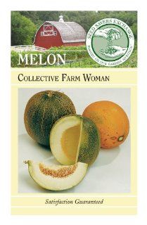 Seed Savers Exchange 0211 Organic, Open pollinated Melon Seed, Jenny Lind, 25 Seed Packet  Vegetable Plants  Patio, Lawn & Garden