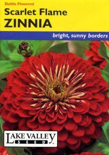 Lake Valley 616 Zinnia Scarlet Flame Seed Packet  Flowering Plants  Patio, Lawn & Garden