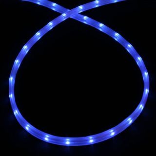 American Lighting LLC Mini Rope Light in Blue