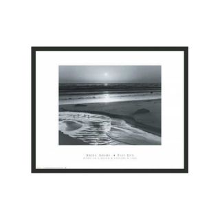 Birds on a Beach Framed Print by Ansel Adams   16 x 20