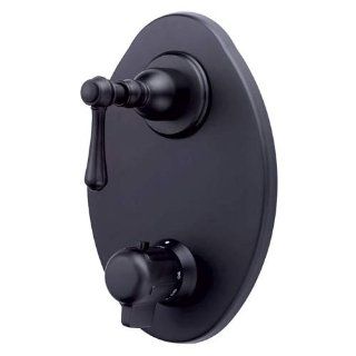 Danze Opulence Two Handle Thermostatic Shower Valve with Trim   Satin Black   Faucet Mount Water Filters  