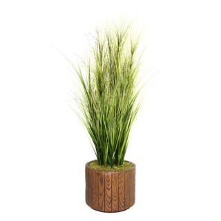 Tall Onion Grass with Twigs in Fiberstone Planter