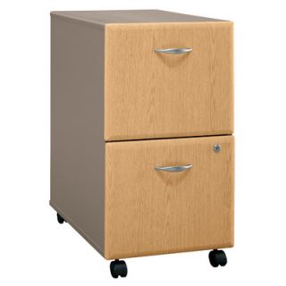 bush series a 2 drawer file