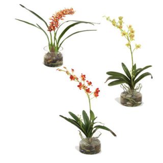 Distinctive Designs Assorted Silk Orchid Plants in Cylinder Vase (Set
