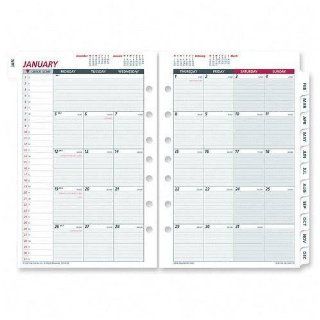 Day Runner Express Recycled Monthly Planning Pages, 8 1/2 x 11 Inches, 2010 (068 685Y 10)  Appointment Book And Planner Refills 