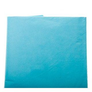 Baby Blue Tissue Sheets Toys & Games