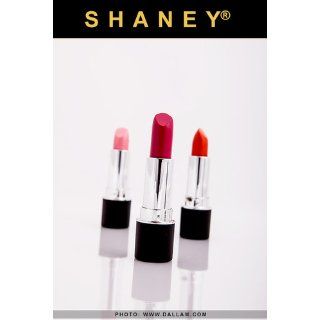 SHANY Slick & Shine Lipstick Set   Set of 12 Famouse Colors  Multicolor Lipstick Palettes  Beauty