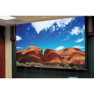 Draper Access/Series E AV Format Projection Screen with Low Voltage