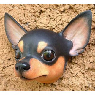 Novica Courageous Black Chihuahua Mask