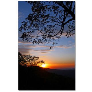 Trademark Art Drip with Sunset by CATeyes Photographic Print on