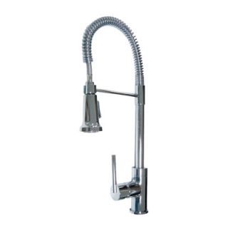 Aqueous Faucet Spartacus One Handle Single Hole Kitchen Faucet with