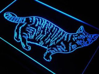 ADV PRO j712 b Cat Kitty Home Pet Display Love Neon Light Sign  