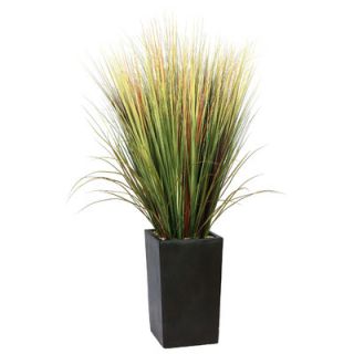 Laura Ashley Home Realistic Grass in Square Tapered Planter