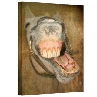 Art Wall David Liam Kyle Laughing Horse Gallery Wrapped Canvas Wall