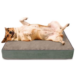 Buddy Beds Luxury Memory Foam Dog Bed with Lux Designer Microfiber