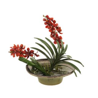 Distinctive Designs Silk Vanda Orchid Plant in Glazed Bowl