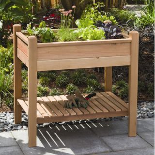 Buyers Choice Phat Tommy Elevated Planter Box