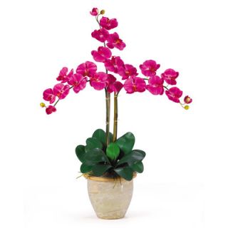 Nearly Natural Triple Phalaenopsis Silk Orchid Arrangement in Beauty