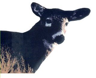 Montana Decoy Whitetail Doe Deer Decoy  Hunting Decoys  Sports & Outdoors