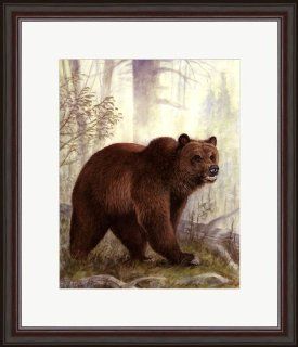 Grizzly Mama by Anne Jenkins Framed Art, 17.75 X 20.75   Prints