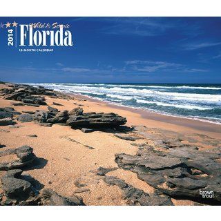 Florida, Wild & Scenic   2014 Deluxe Calendar   Wall Calendars