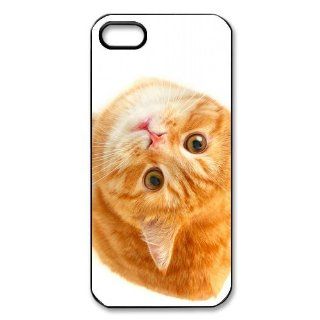 Custom Because Cats Cover Case for IPhone 5/5s WIP 739 Cell Phones & Accessories