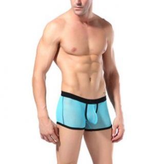 Zehui Mens See Through Boxer Underwear Bikini Smooth Mesh Briefs Blue Tag L at  Mens Clothing store