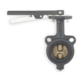 Butterfly Valve, Wafer, 4 In, PTFE Liner